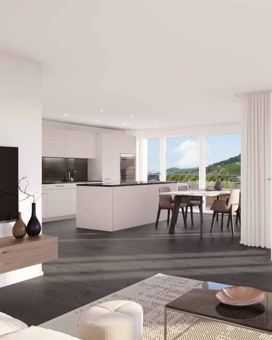 Herisau Visu Attika final